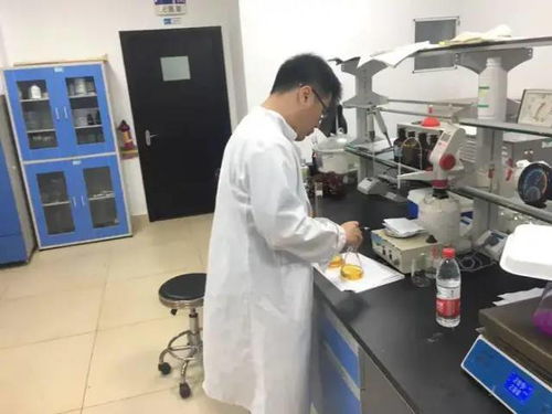 海口市海洋環境監測中心全過程跟蹤監測白沙門污水處理廠附近海域水質狀況良好
